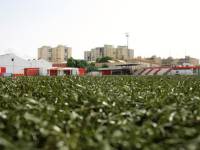 Césped del campo de fútbol de Puerta Blanca en Málaga